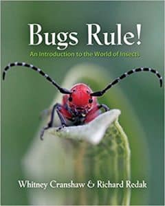 Bugs rule